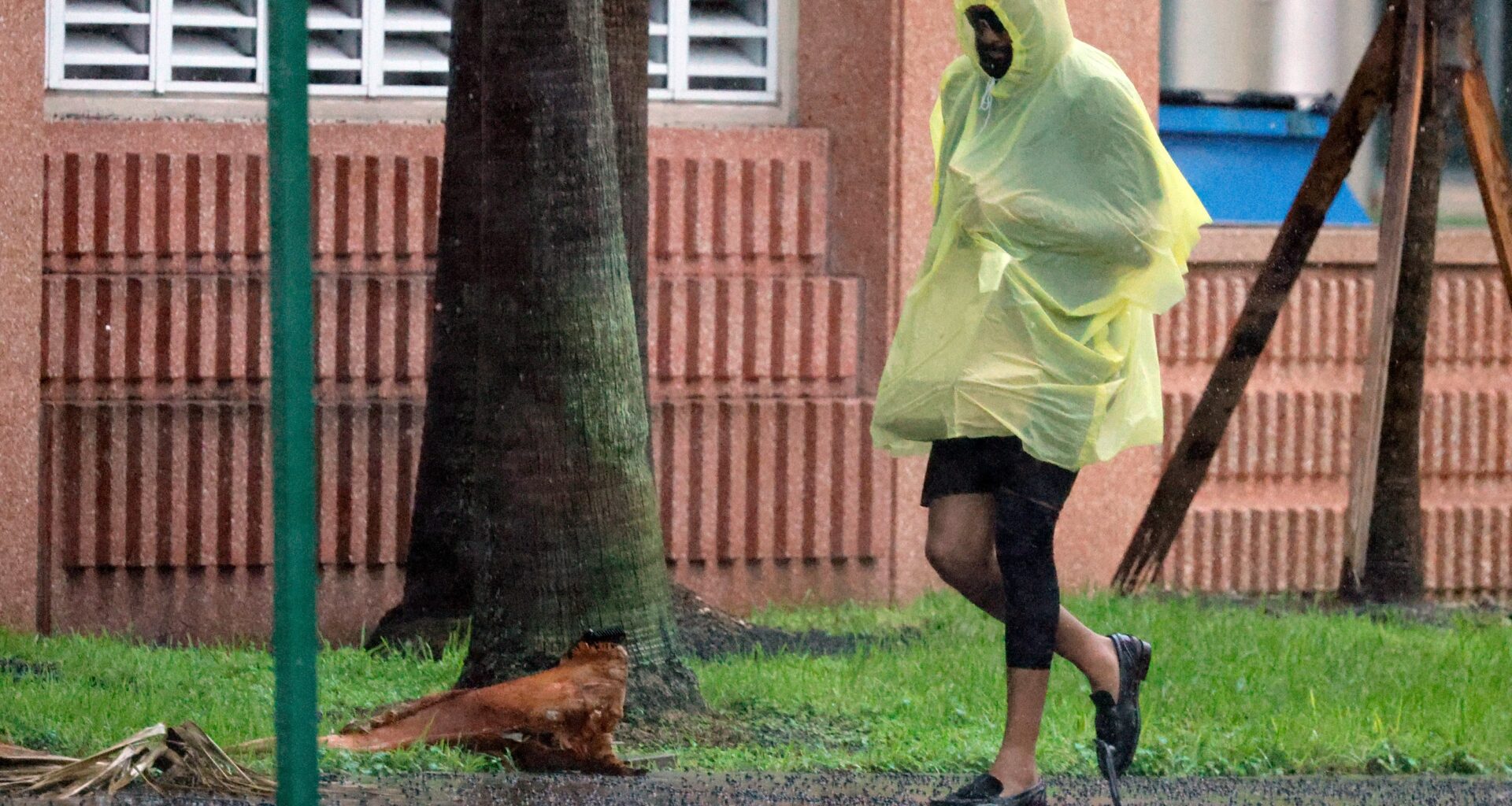 South Florida to see afternoon storms and high temps this week