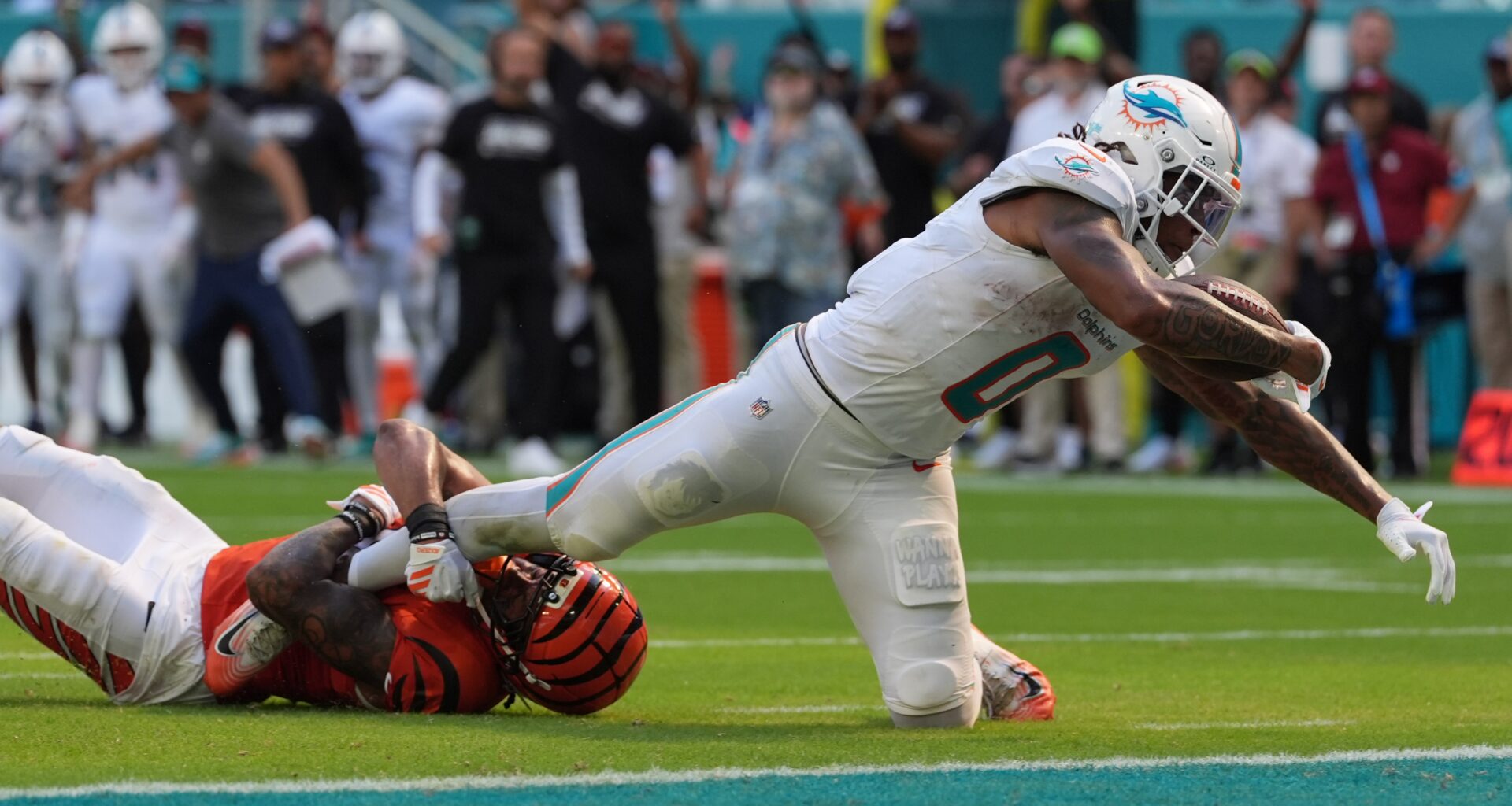 Can Dolphins' physical identity get them wins?