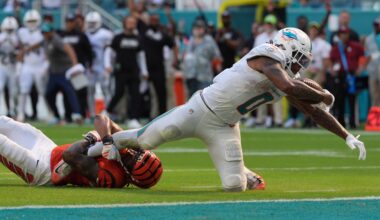 Can Dolphins' physical identity get them wins?