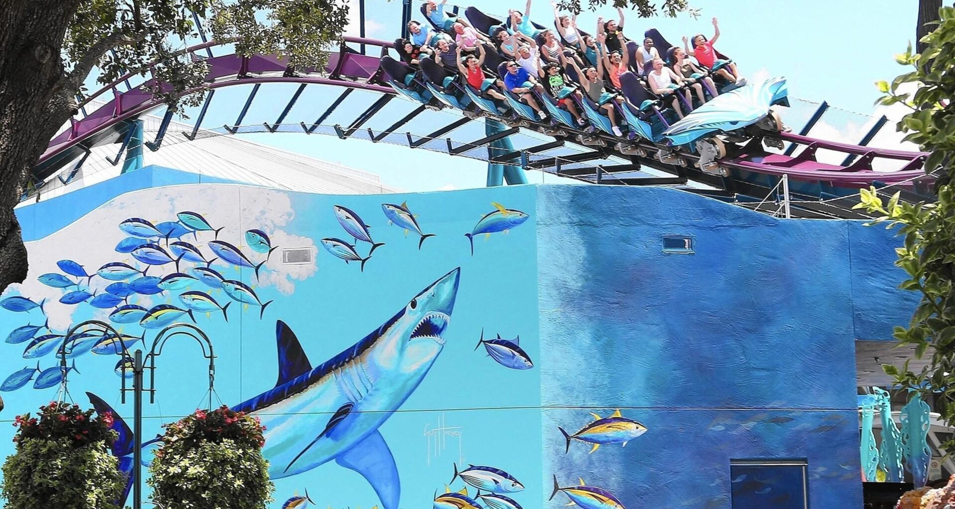 SeaWorld Orlando closes Mako coaster after death at Six Flags Over Georgia