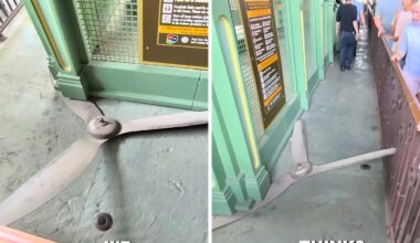 Ceiling Fan Falls in Stardust Racers Queue at Epic Universe, Possibly Hitting a Guest