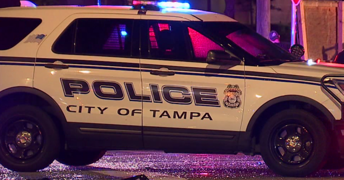 Man stabbed in Tampa during domestic dispute: TPD