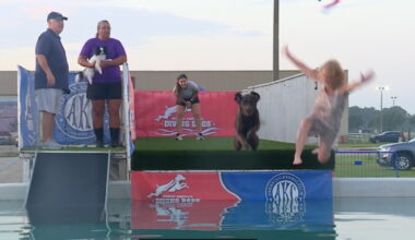 Pirate Cluster dog sports event comes to Fort Pierce