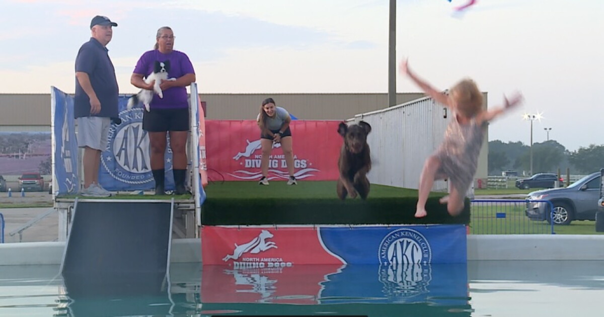 Pirate Cluster dog sports event comes to Fort Pierce