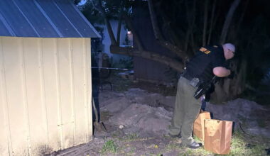 Woman buried cats alive because she believed they were demons, deputies say