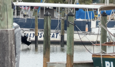 Gulfport Marina commercial slip prices rise