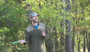 New nine-hole disc golf course opens to the public at Jackson View Park