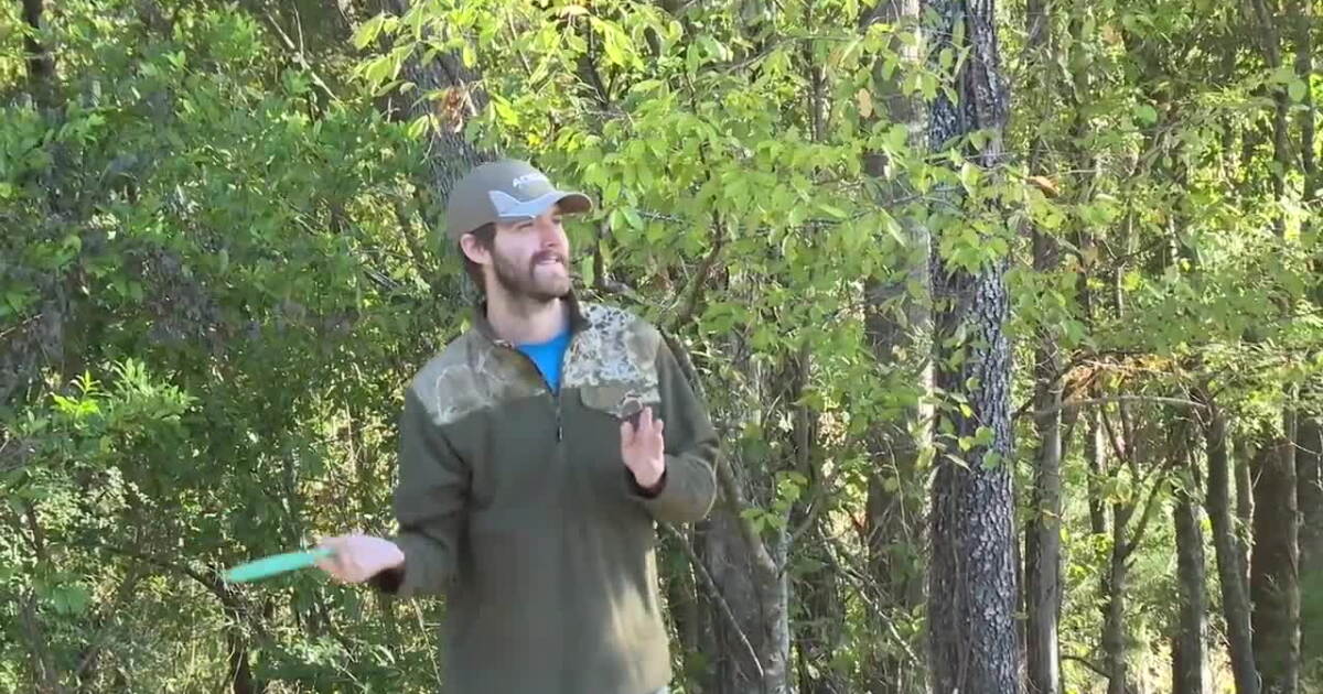 New nine-hole disc golf course opens to the public at Jackson View Park