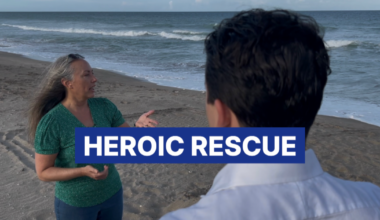 Martin County employee rescues 3 girls at Bob Graham Beach