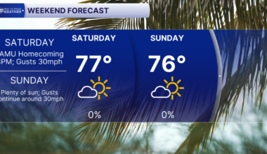 Another Windy Weekend