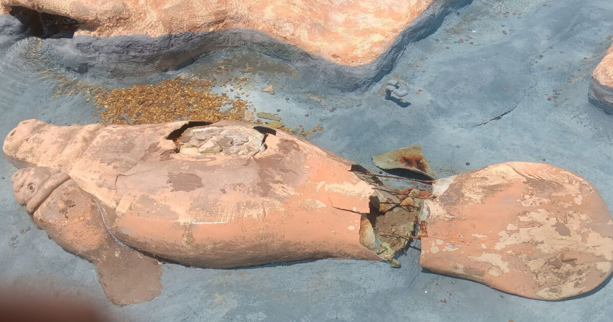 Public Art Committee votes second time to eliminate plants and animals from 'Uncommon Friends' pool | WGCU News