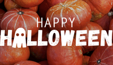 Halloween weekend events in the Tampa Bay area