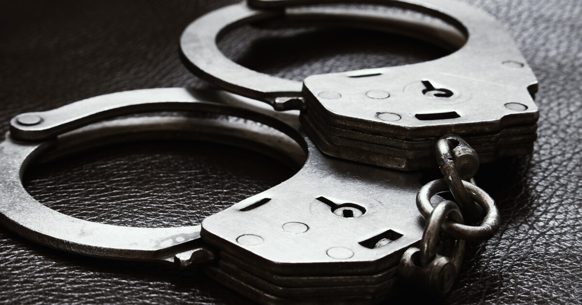 St. Pete police arrest woman wanted in fatal hit-and-run
