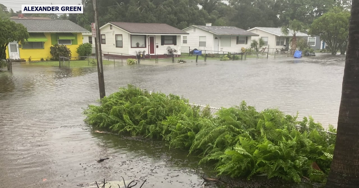 2 years after Helene, Milton: St. Pete neighborhood shows resilience and storm recovery challenges