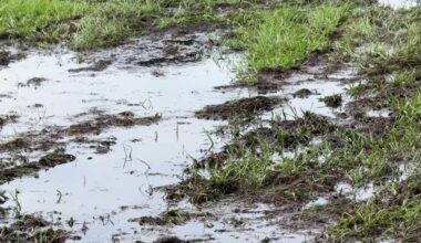 Kissimmee prepares for flooding as heavy rainfall expected