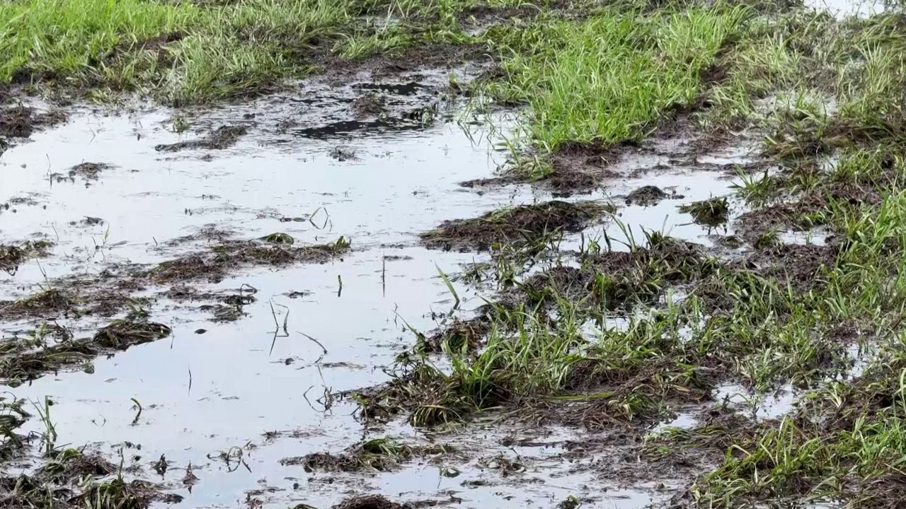 Kissimmee prepares for flooding as heavy rainfall expected
