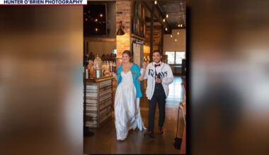 Tampa Bay Rays vs. Milwaukee Brewers: World Series matchup divides Davenport newlyweds