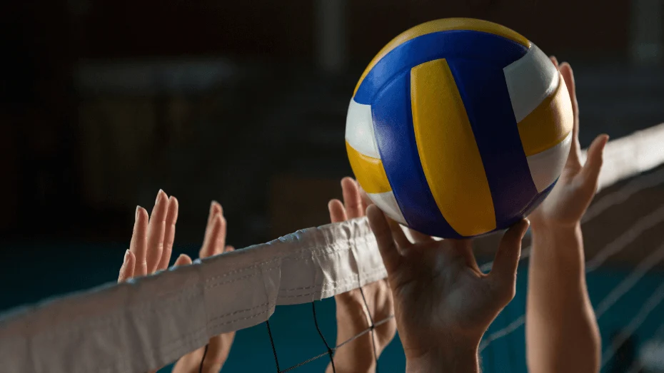 Kentucky vs Florida Live Stream: How to Watch Women's College Volleyball