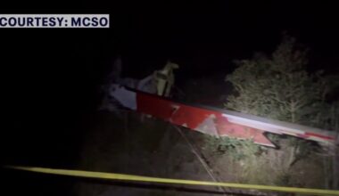 Mosquito control helicopter pilot killed in crash