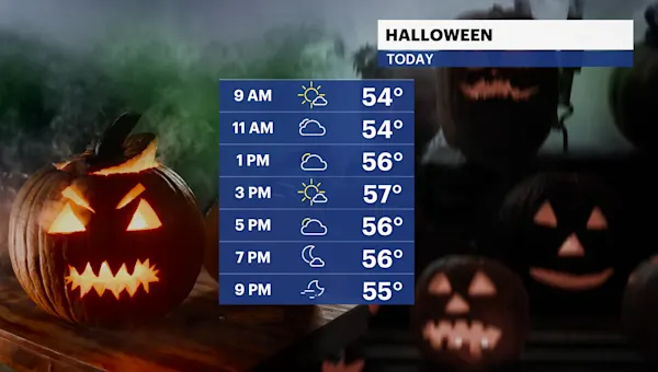 Windy conditions with some sunshine heading into the weekend for Brooklyn