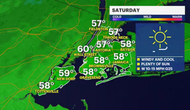 Winds conditions ease overnight, sunshine returns for Saturday in The Bronx
