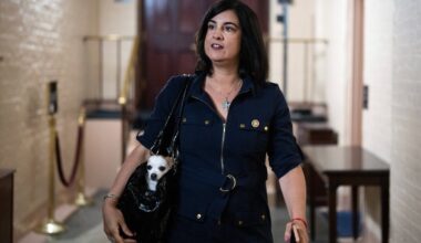 Lawsuit challenges boundaries of NYC’s only GOP congressional seat – NBC New York