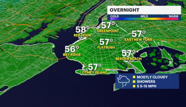 Rain ramps up overnight in Brooklyn