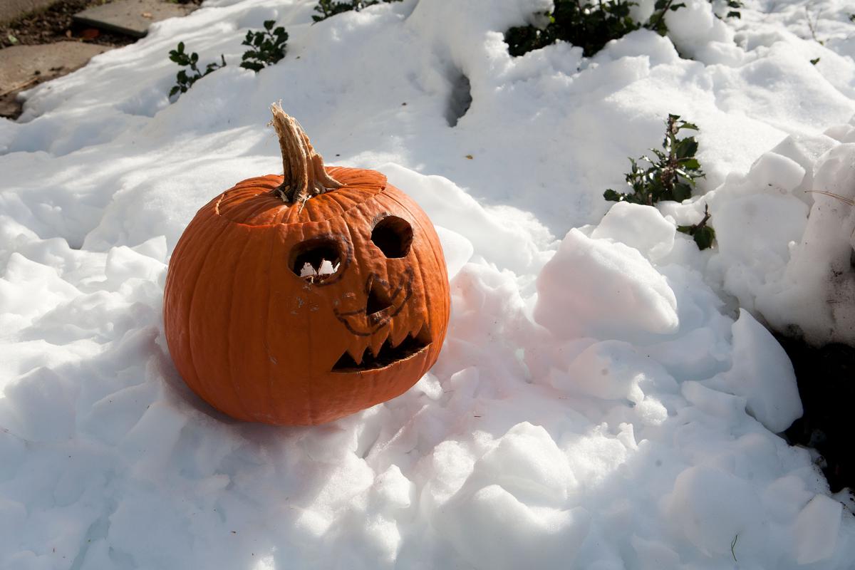 When Will It Snow In Western New York?