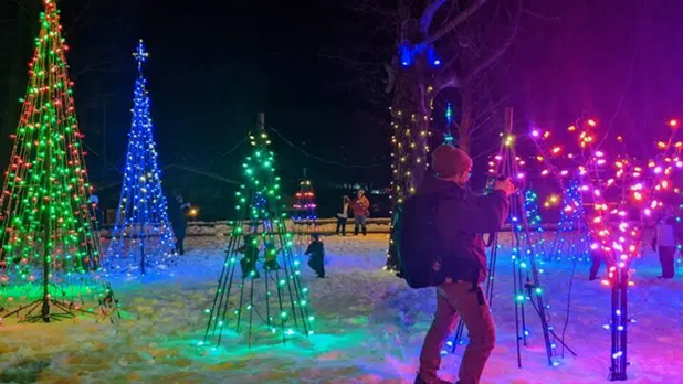 People walk among colorful, illuminated artificial trees in a snowy outdoor setting at night at Lite Up The Village in Lake George.