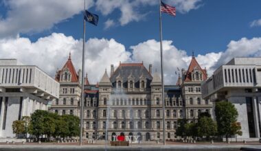 New York to launch real-time auto insurance verification system