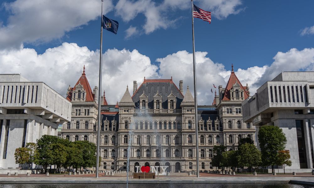 New York to launch real-time auto insurance verification system