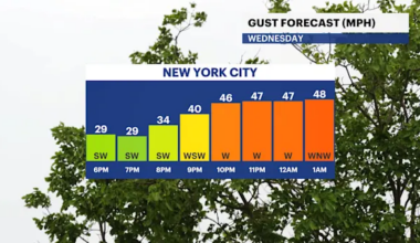 Partly sunny and mild before high winds arrive tonight in The Bronx