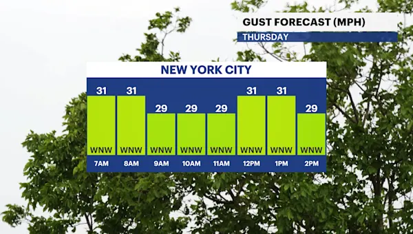 Sunny and cooler conditions for The Bronx; tracking chances of rain for the weekend