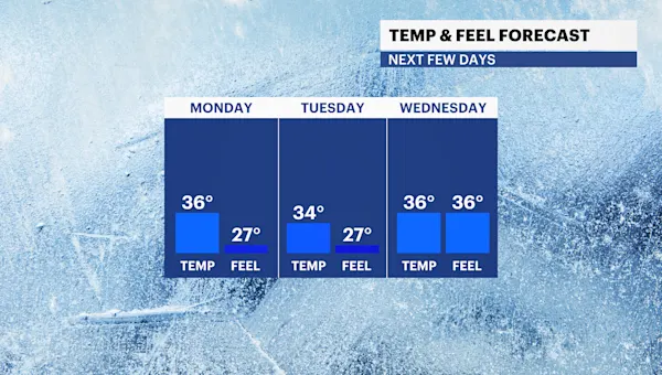 Cool and windy Monday with some sunshine for Brooklyn