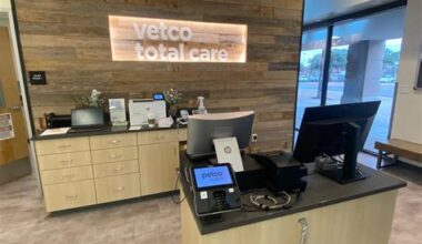 How Much *Should* Vetco Total Care Spay Cost? We Break It Down.