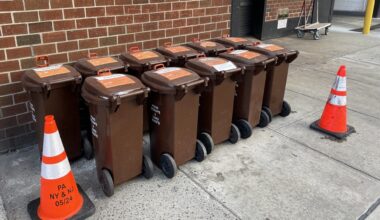 NYC’s Compost Program Hits Record 6 Million Pounds of Organic Waste