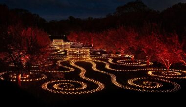 The Holiday Light Experience Worth Traveling For