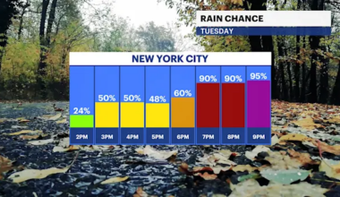 Cloudy and cool day with steady rain later for Brooklyn; gusty winds for Thanksgiving