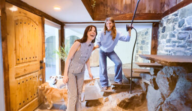 Moving A Family With Dogs From NYC to a 265 Year Old House - Videos