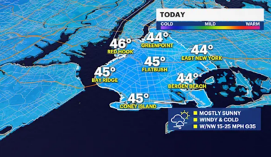 Mostly sunny, windy and cold Thanksgiving Day in Brooklyn