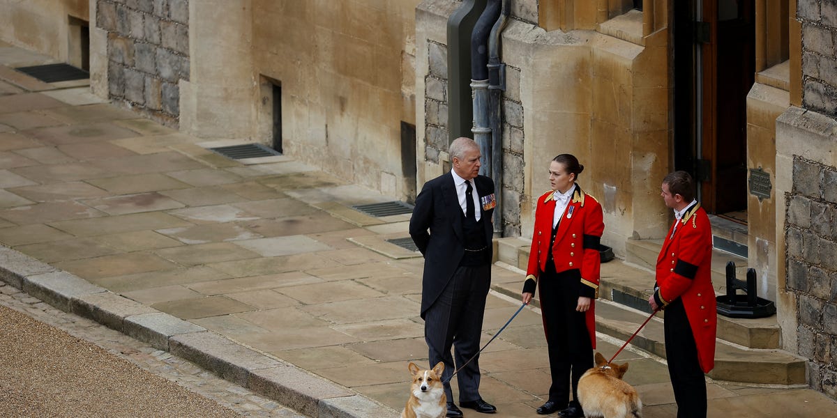 What Will Happen to Queen Elizabeth’s Corgis After Prince Andrew and Sarah Feguson Move Out of Royal Lodge?