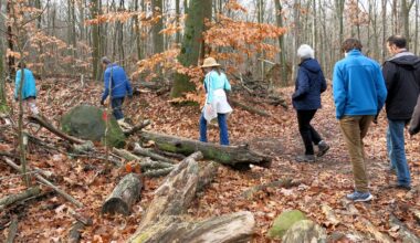 Staten Island weekend happenings: Post-Thanksgiving hikes, comedy nights and more