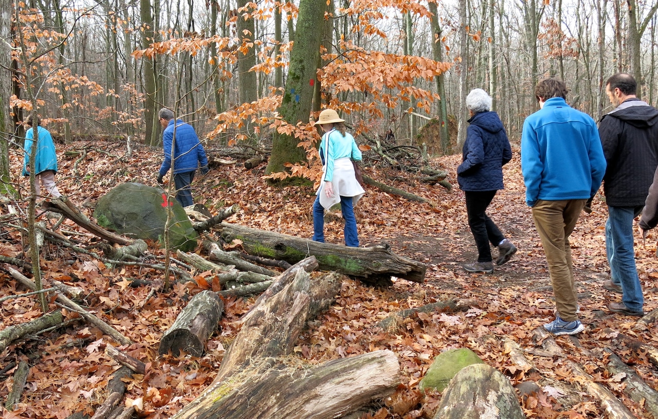 Staten Island weekend happenings: Post-Thanksgiving hikes, comedy nights and more