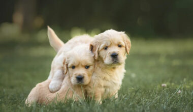 Yahoo lifestyle home