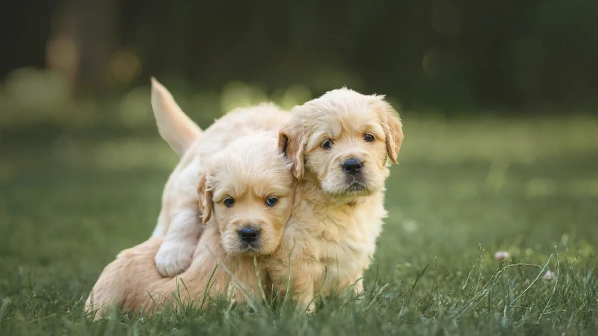 Yahoo lifestyle home