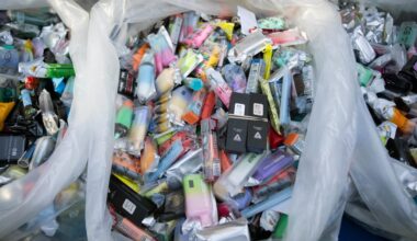 Mamdani must work to stop illicit vapes