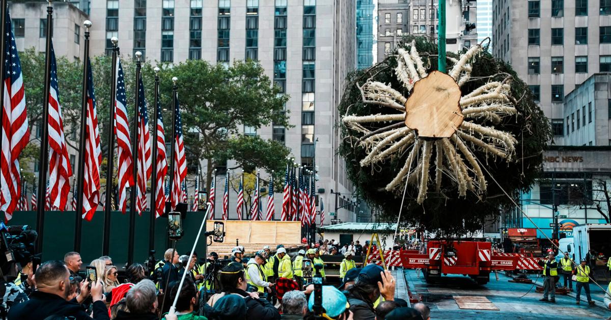 Rockefeller Center Christmas tree arrives in Manhattan, kicking off New York's holiday season | National News
