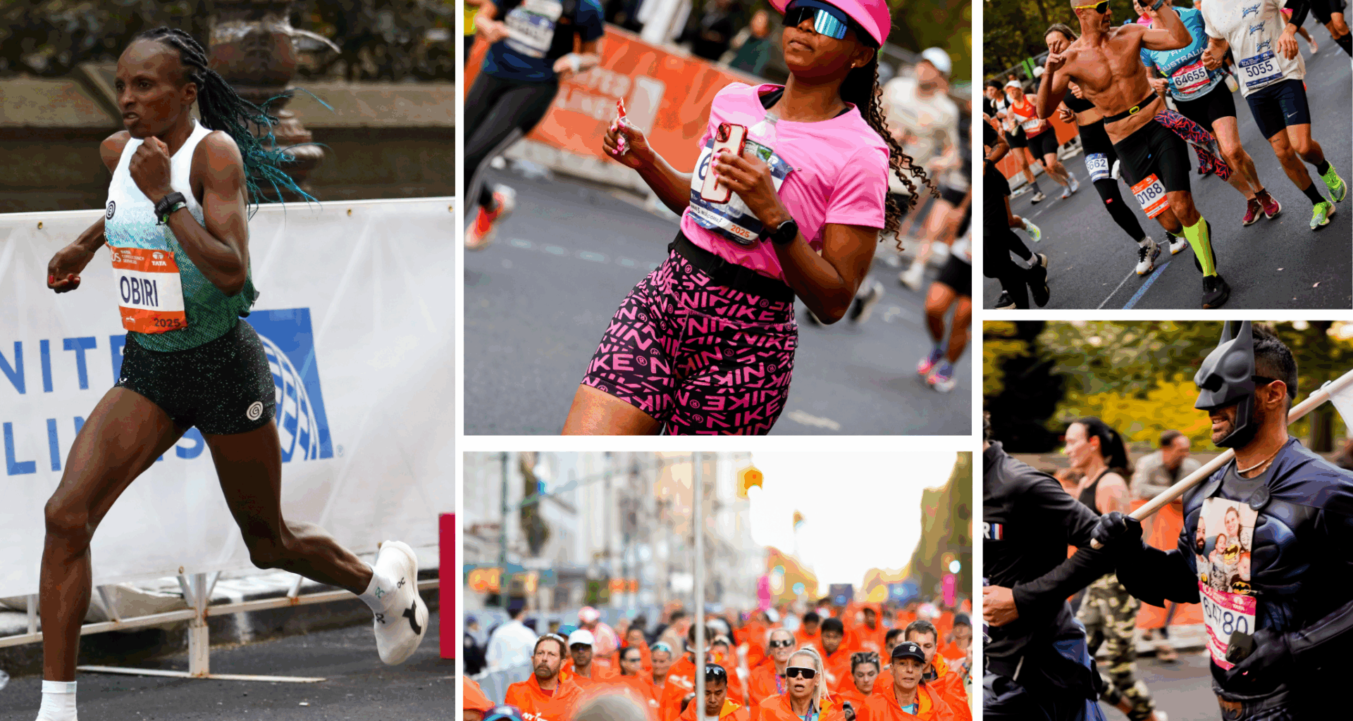 Ali Nolan's-Profile Picture