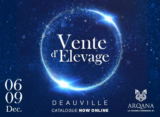 Arqana 11-26-25