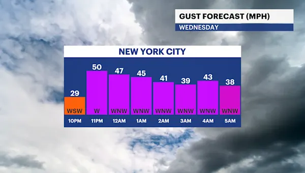 Strong winds howl through The Bronx, power outages and tree damage possible